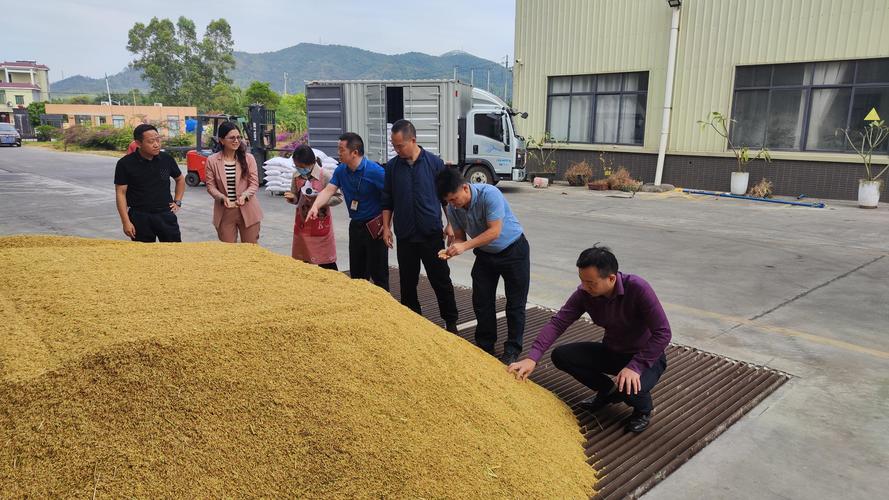 收购粮食依质论价,粮款及时支付,不存在"打白条"等问题;种粮农户种粮